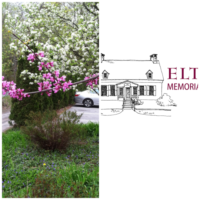 Review Elting memorial library image 279894