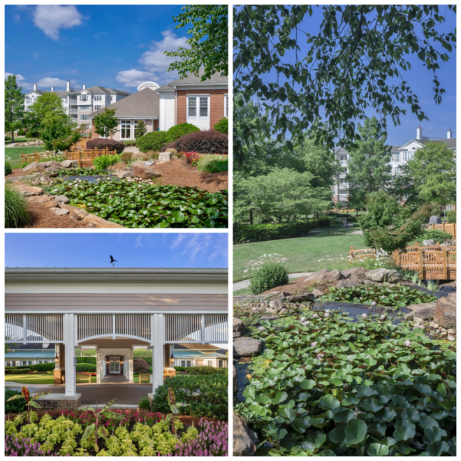 Review The cypress of charlotte image 258642