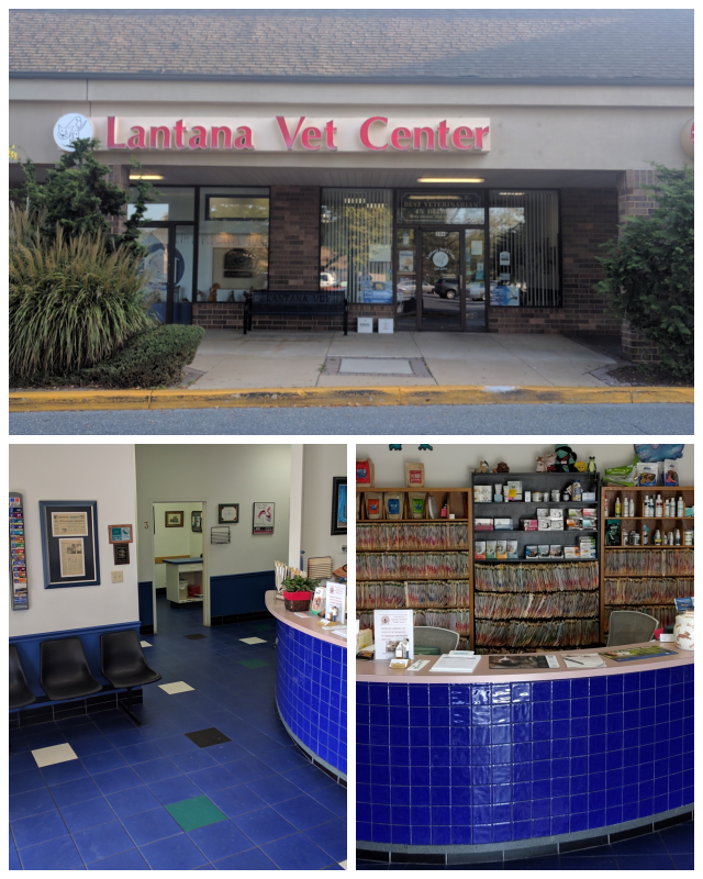 Review Lantana veterinary ctr image 310834
