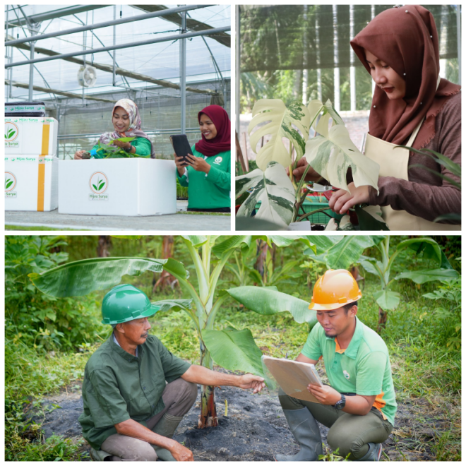 Review Hijau Agri Indonesia image 94413