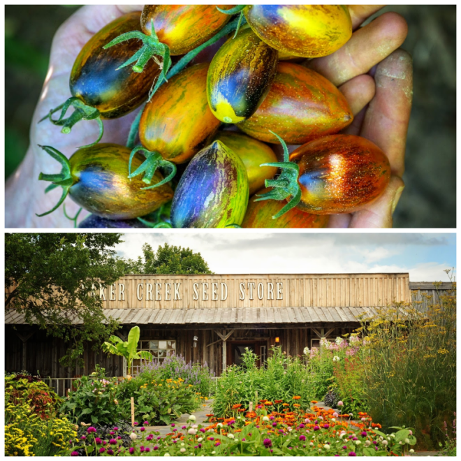 Review Baker Creek Heirloom Seeds image 129396