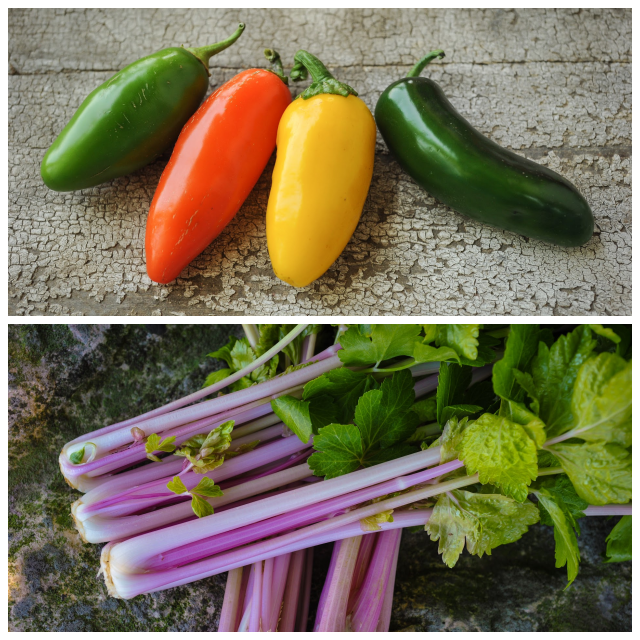 Review Baker Creek Heirloom Seeds image 129397