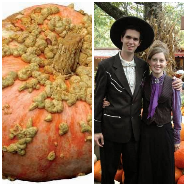 Review Baker Creek Heirloom Seeds image 129399