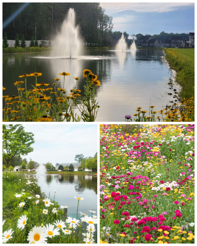 Review Envirotech Environmental Consulting Inc. image 121734