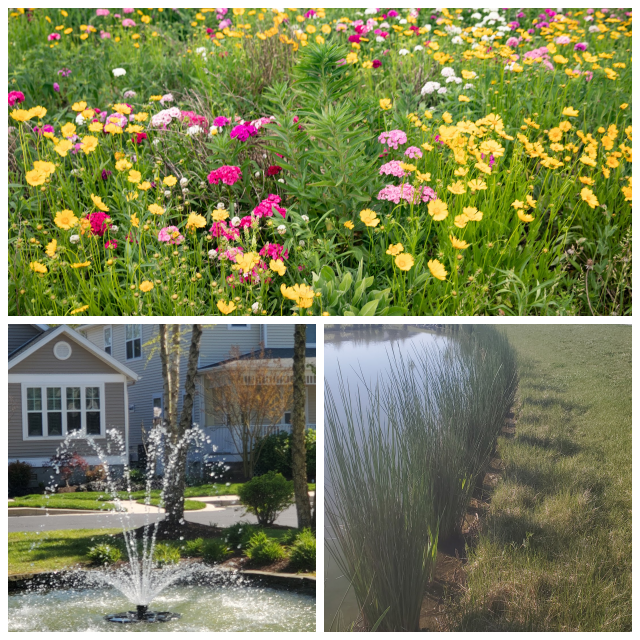 Review Envirotech Environmental Consulting Inc. image 121736