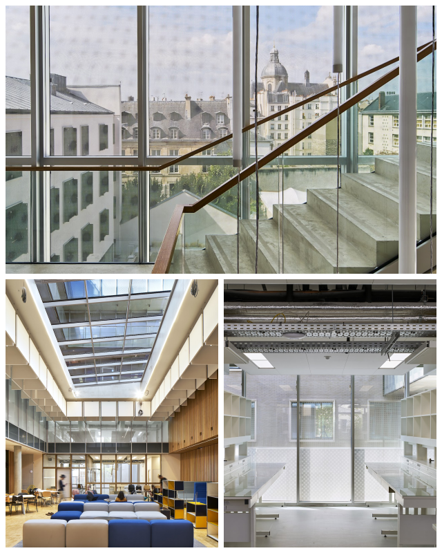 Review Centre de Recherches Interdisciplinaires - Center for Research and Interdisciplinarity (CRI Paris) image 204862