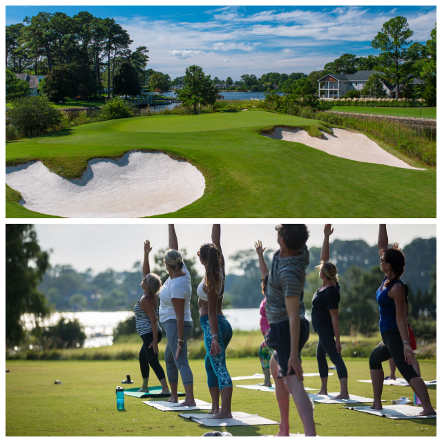 Review The princess anne country club image 267213