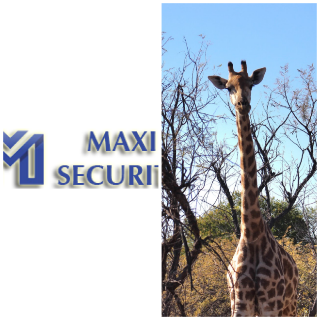 Review MaxiSecuriT image 182271