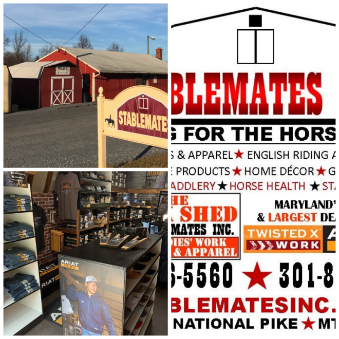 Review Stablemates Inc. image 168057