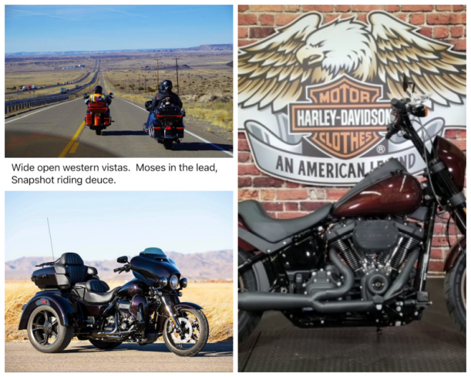Review Thunderbird Harley Davidson image 76114