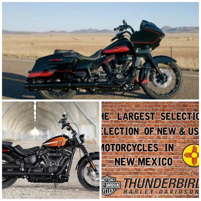 Review Thunderbird Harley Davidson image 76115