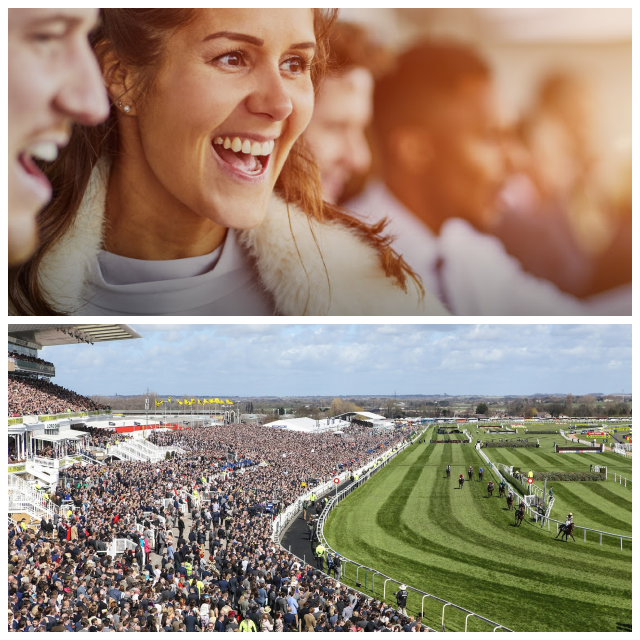 Review Aintree Racecourse image 74598