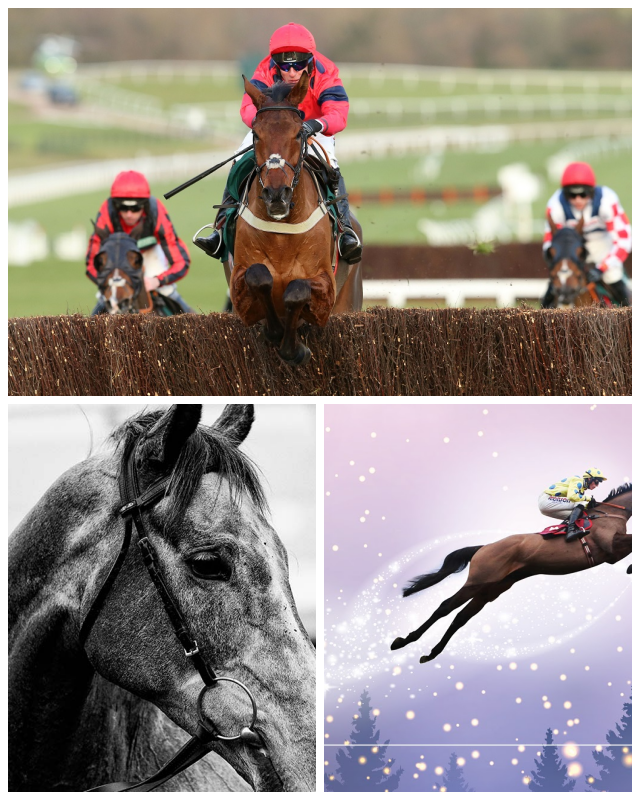 Review Aintree Racecourse image 74602