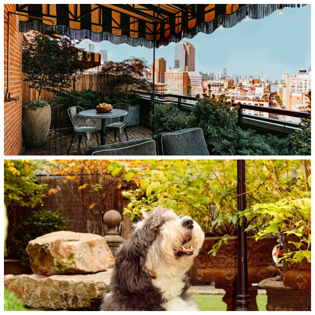 Review Soho grand hotel image 268242
