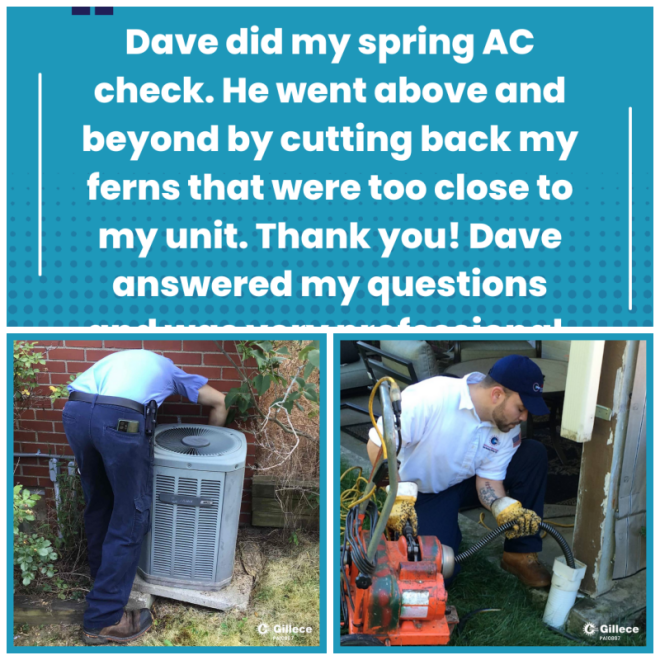 Review Gillece Services image 118306