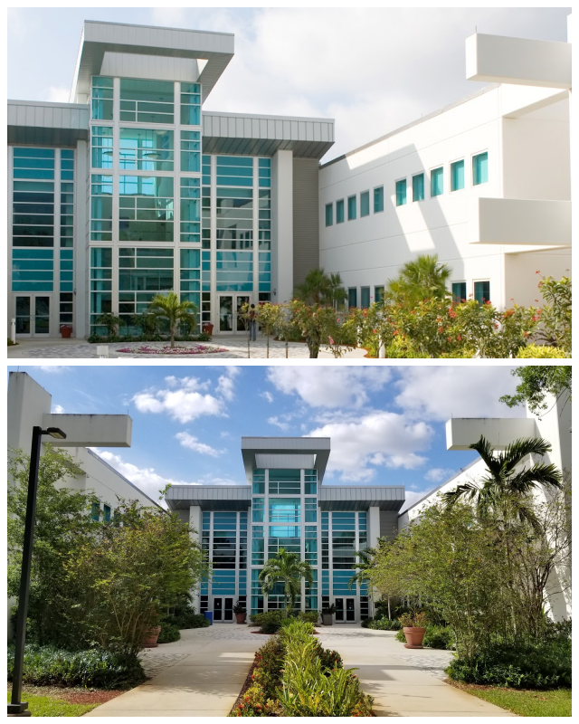 Review Palm beach state college image 239679