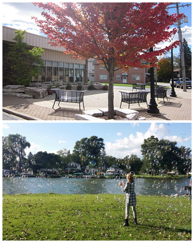 Review Fox River Grove Memorial Library image 213370