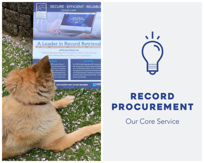 Review Record reproduction solutions image 348293