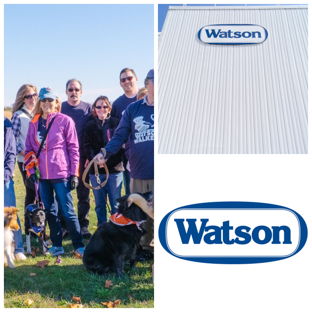 Review Watson inc image 264993