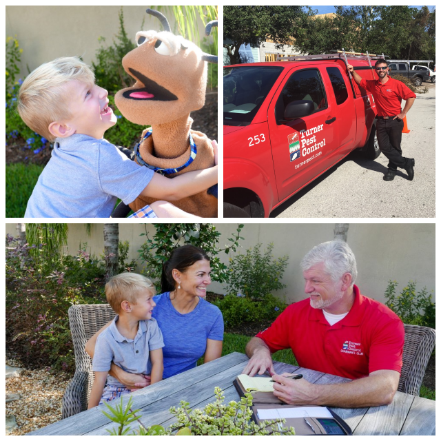 Review Pro-staff pest control image 340825