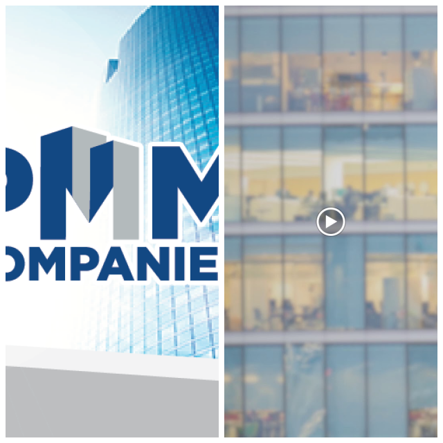 Review Pmm companies image 268115