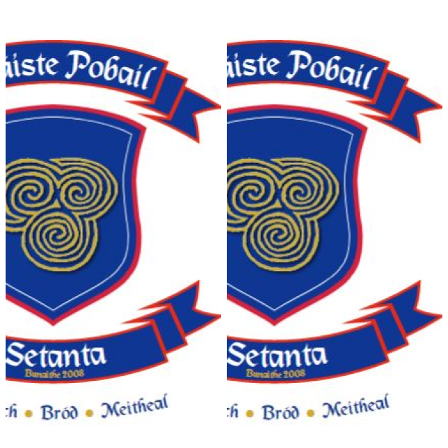 Review Colaiste Pobail Setanta image 91431