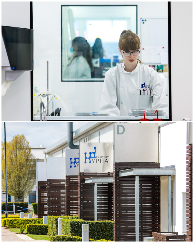 Review Hypha Discovery Ltd image 644