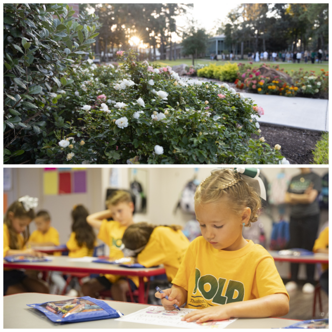 Review The Woodlands Christian Academy image 122427