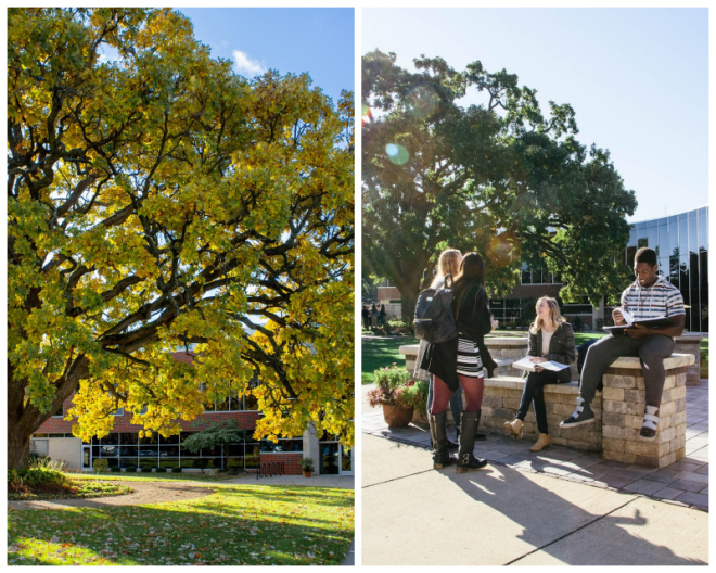 Review Spring arbor university image 240687