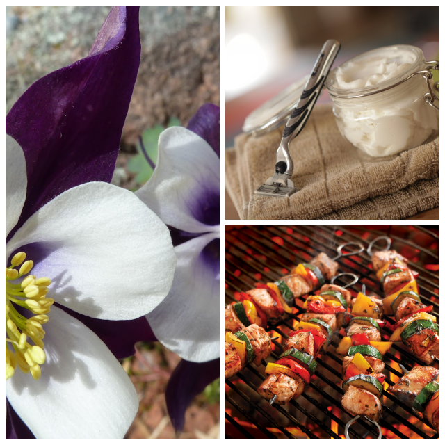 Review Picket Fence Properties image 234258