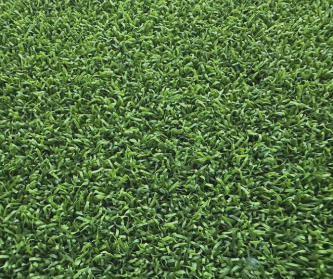 Review Texas Tuff Artificial Grass image 359981