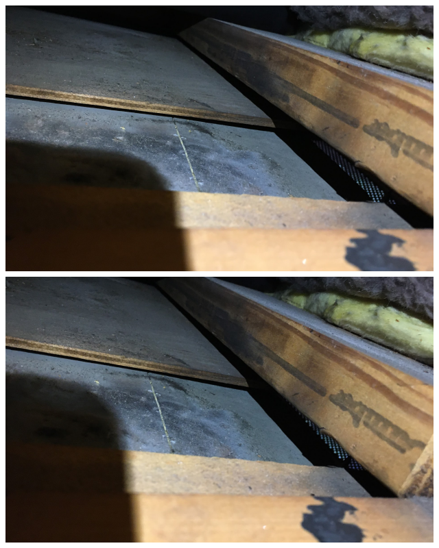 Review Servpro of levittown image 352629
