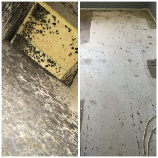 Review Servpro of levittown image 352631