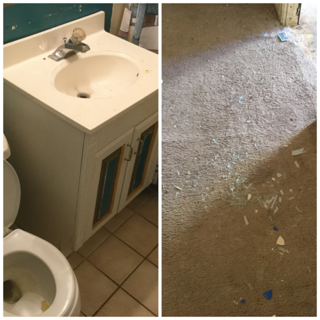 Review Servpro of levittown image 352632