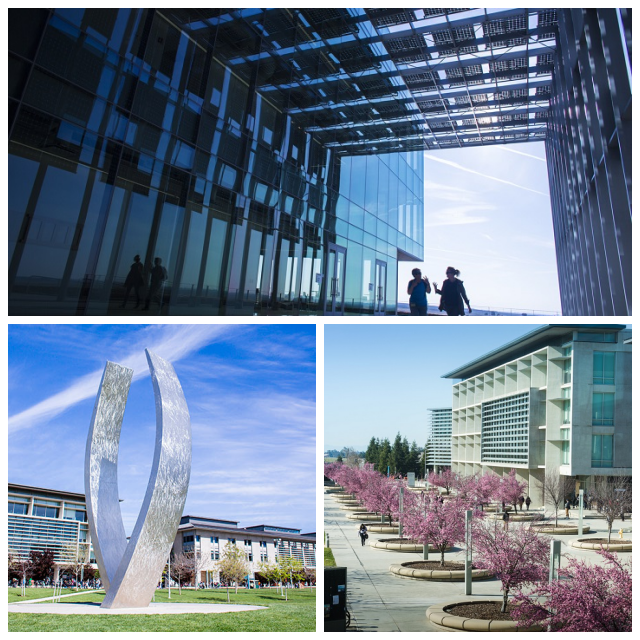 Review UC Merced image 12817