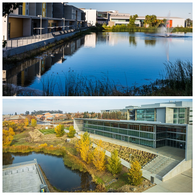 Review UC Merced image 12818
