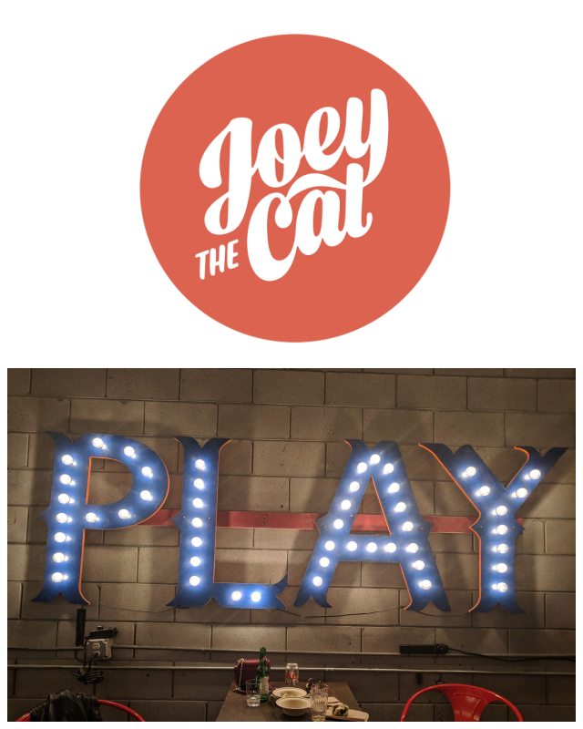 Review Joey the cat image 305393