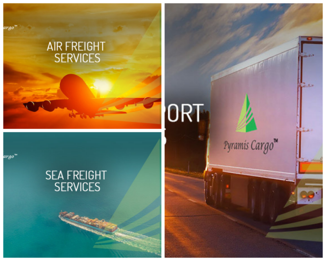 Review Pyramis Cargo Management Pvt. Ltd. image 70798