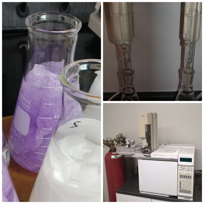 Review Proquality lab image 340725