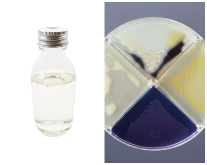 Review Dynatec Scientific Laboratories image 173609