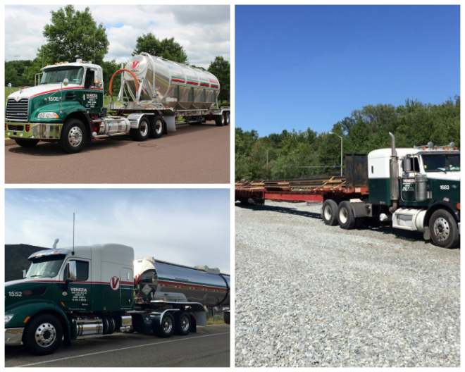 Review Venezia bulk transport inc. image 253972