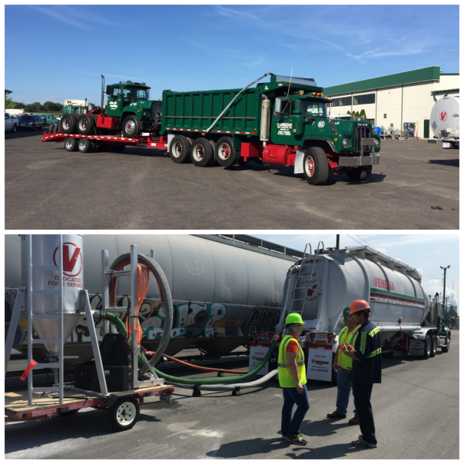 Review Venezia bulk transport inc. image 253973
