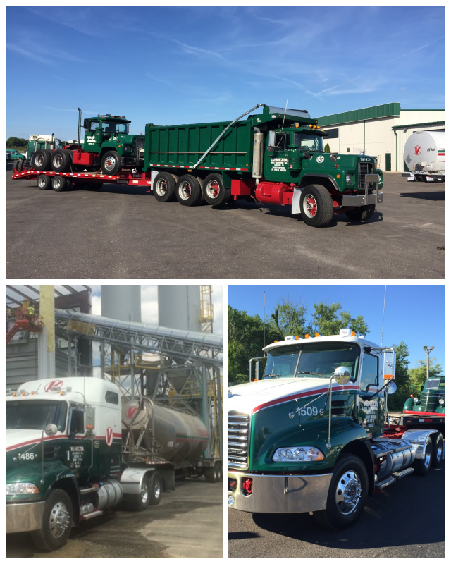 Review Venezia bulk transport inc. image 253974