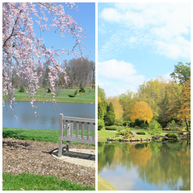 Review The Dawes Arboretum image 109751