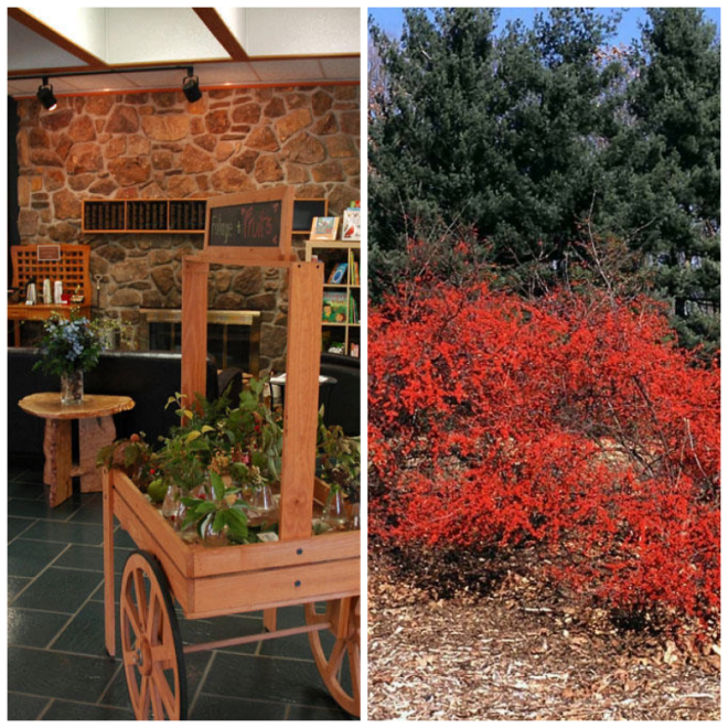 Review The Dawes Arboretum image 109752