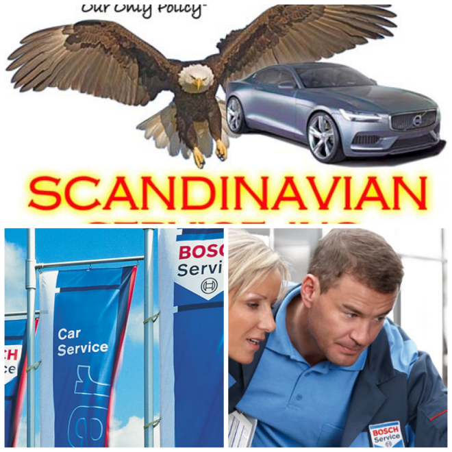 Review Scandinavian service inc. image 350671