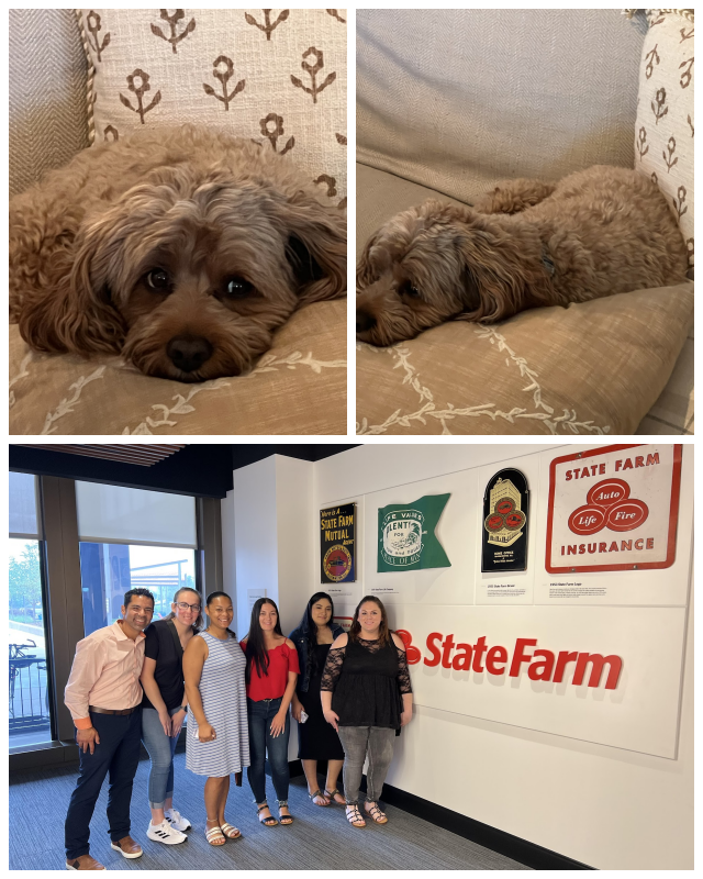Review Axel Jimenez State Farm Insurance Agency image 184643