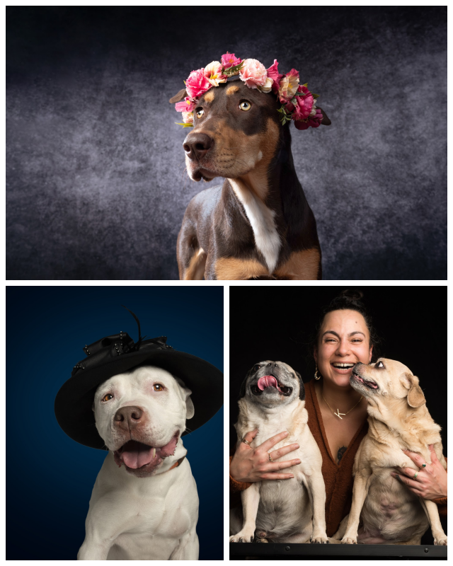 Review Candice C. Cusic Photography image 187769
