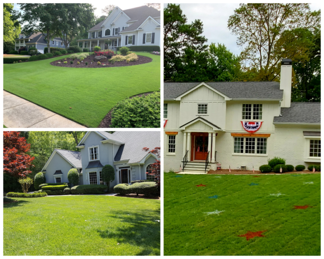 Review Arbor-Nomics Turf, Inc. image 117123