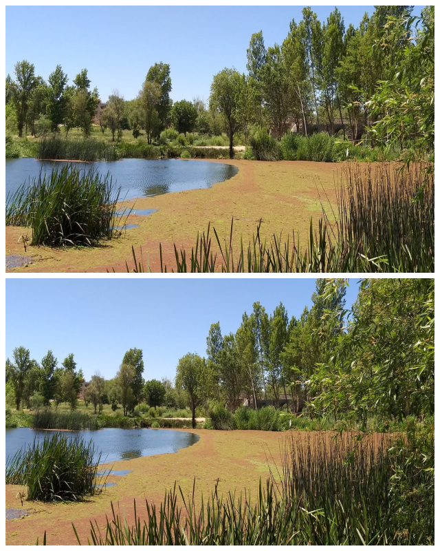 Review Gagliardo Realty Associates image 19926